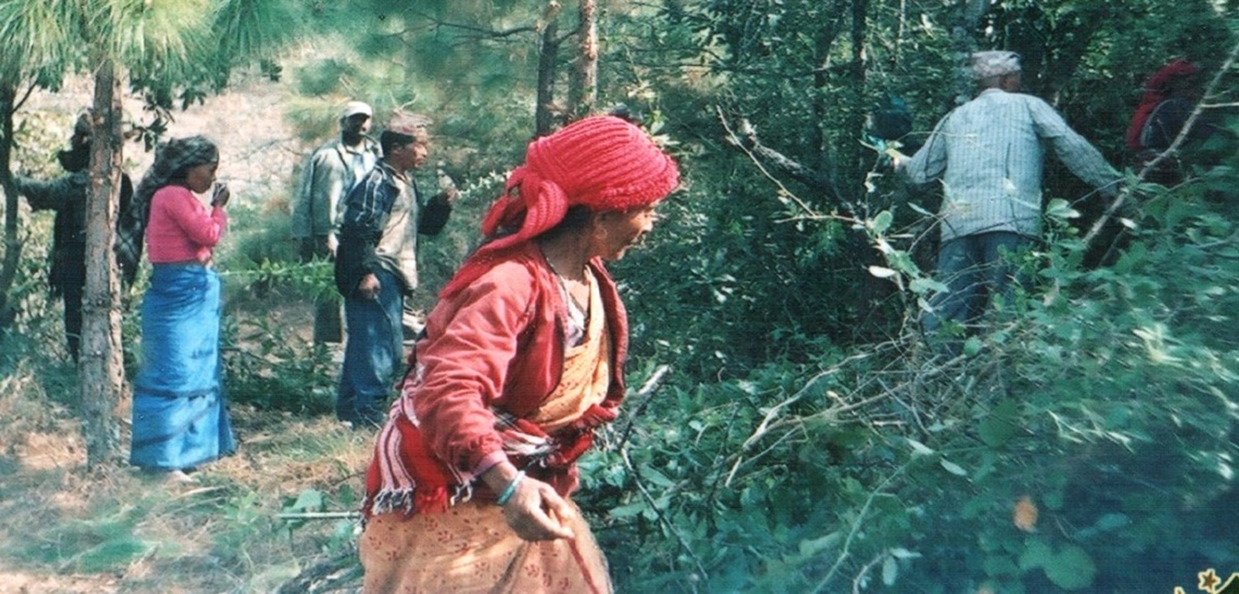 Forest, Environment, disaster management and Climate Change (वन वातावरण विषद व्यवस्थापन र जलवायु परिवर्तन)